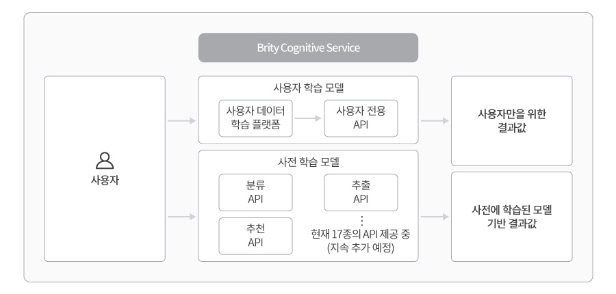 삼성SDS Brity Cognitive Service API 이미지
