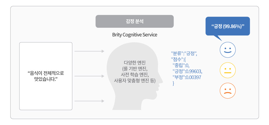 삼성SDS Brity Cognitive Service 감정 분석 이미지
