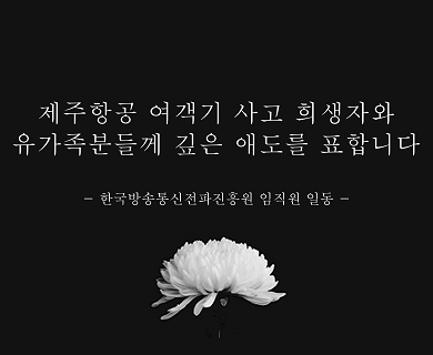 제주항공 여객기 사고 희상재와 유가족분들께 깊은 애도를 표합니다.